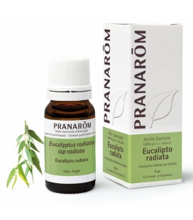 PRANAROM ACEITE ESENCIAL EUCALIPTO RADIATA 10ML