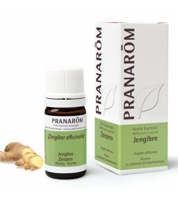 PRANAROM Aceite Esencial JENGIBRE RIZOMA 5 ml