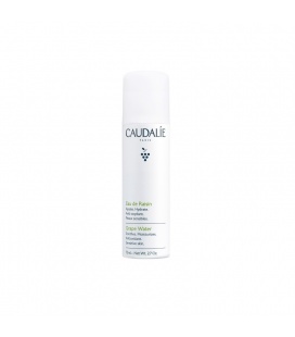 AGUA DE UVA 75ML