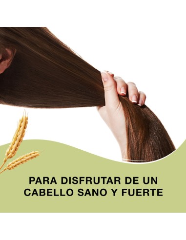 Priorín 60 capsulas