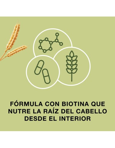 Priorín 60 capsulas