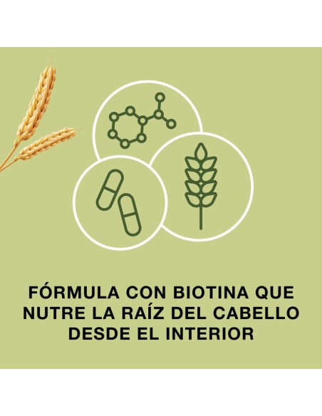 Priorín 60 capsulas