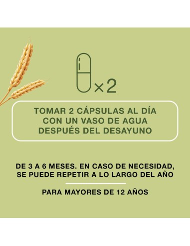 Priorín 60 capsulas