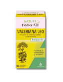 Valeriana Leo Angelini 90 Comprimidos