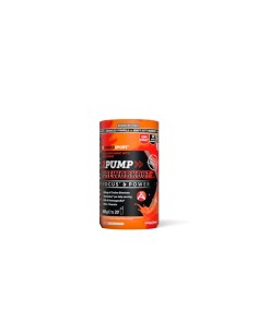 NAMEDSPORT 2PUMP Preworkout 300g