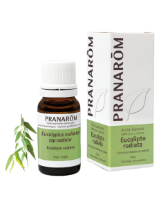 PRANAROM Aceite Esencial Eucalipto Radiata 10 ml