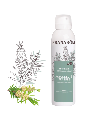PRANAROM Hidrolato Árbol del Té 150 ml