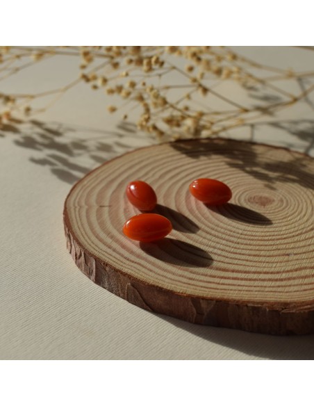 VITAE OlioVita Gastro 60 Сápsulas