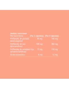 VITAE UrinVita 60 Cápsulas 2