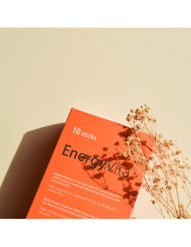 VITAE EnergyVita 10 Sticks