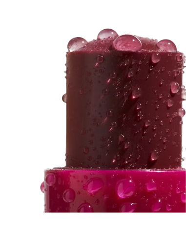 CAUDALIE Vinotherapist Tratamiento para Labios...