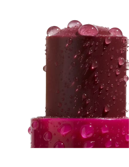 CAUDALIE Vinotherapist Tratamiento para Labios con Color 4,5g