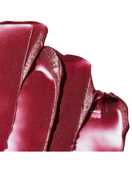 CAUDALIE Vinotherapist Tratamiento para Labios con Color 4,5g