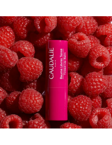 CAUDALIE Vinotherapist Tratamiento para Labios...