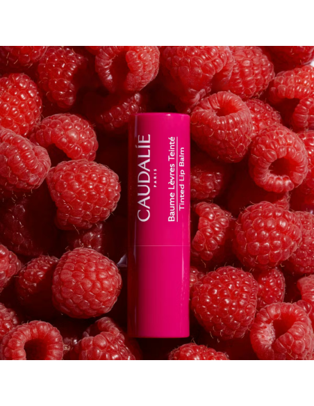 CAUDALIE Vinotherapist Tratamiento para Labios con Color 4,5g
