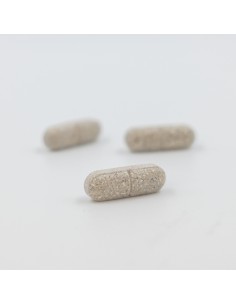 INOVANCE Antioxydant 60 Comprimidos 2