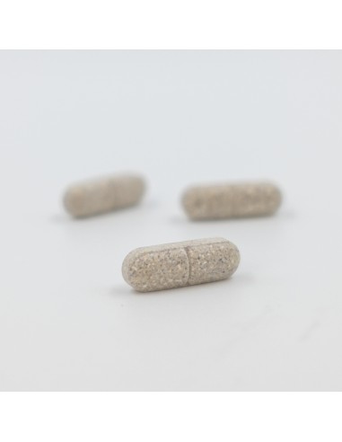 INOVANCE Antioxydant 60 Comprimidos