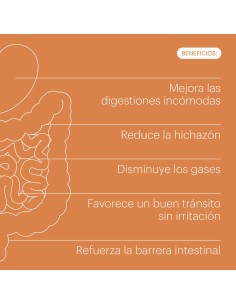 be levels digestya 60 vegecaps 2