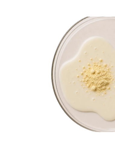 KOBHO Vegan Protein+ Isolate Sabor Vainilla 525g