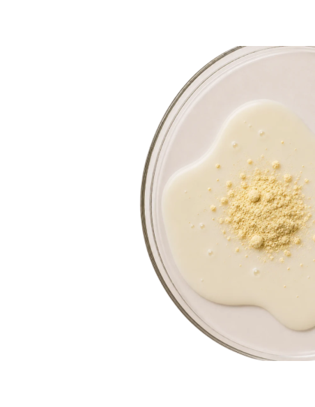 KOBHO Vegan Protein+ Isolate Sabor Vainilla 525g
