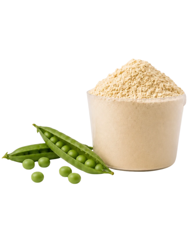 KOBHO Vegan Protein+ Isolate Sabor Vainilla 525g