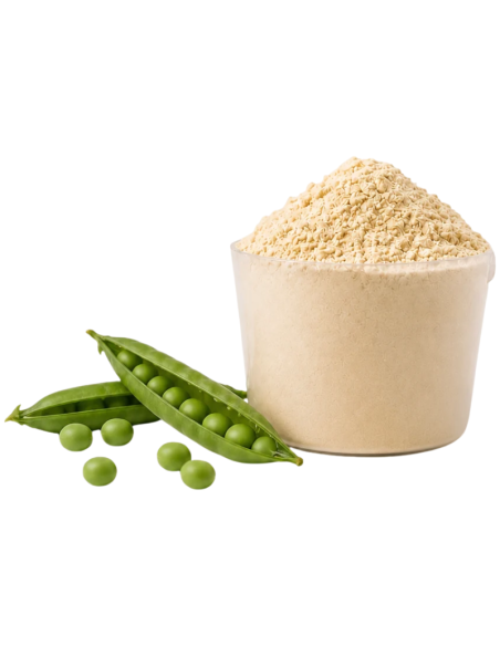 KOBHO Vegan Protein+ Isolate Sabor Vainilla 525g