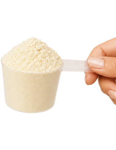 KOBHO Vegan Protein+ Isolate Sabor Vainilla 525g