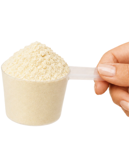 KOBHO Vegan Protein+ Isolate Sabor Vainilla 525g